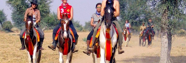 Horse Safari in Rajasthan