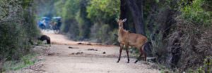 Bharatpur National Park