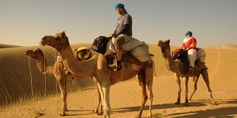Camel Safari in Rajasthan