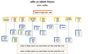 DES Organizational Structure