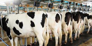 Department of Animal Husbandry, Rajasthan