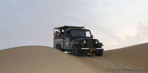 Jeep Safari in Rajasthan