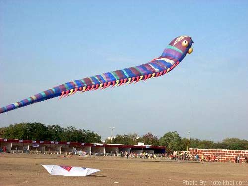 Kite Festival