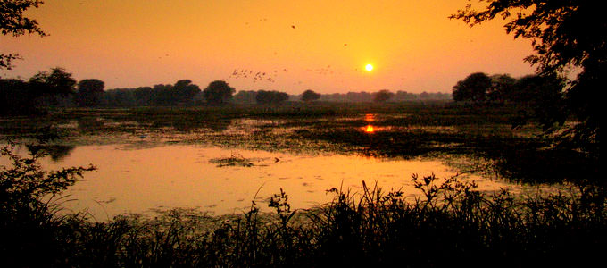 Bharatpur Bird Sanctuary