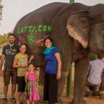Elefantastic in Jaipur
