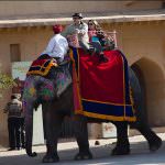 Elephant Ride at Amber Fort in Jaipur