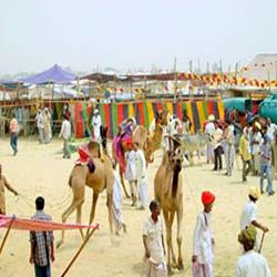 Mallinath Fair 2020 - Mallinath Fair Rajasthan Dates & Information Guide