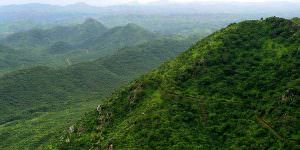 department of environment rajasthan