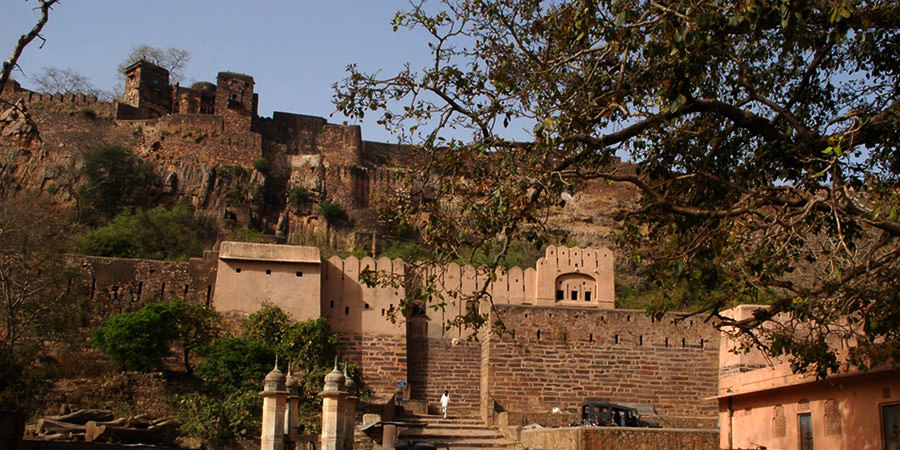 Ranthambore Fort Rajasthan - Fort History, Timings, Photos & Attractions