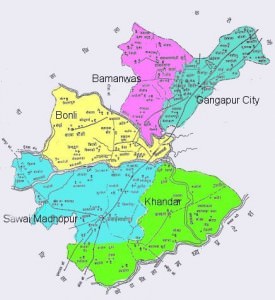 Sawai Madhopur District Map