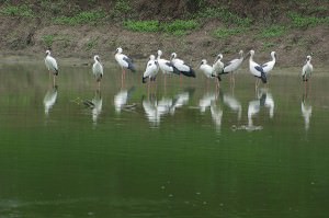 Keoladeo Ghana National Park