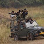 Safari at Ranthambore National-Park