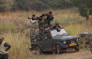 Safari at Ranthambore National-Park
