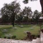 Samode Bagh View