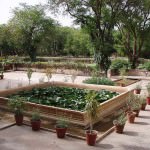 Samode Bagh