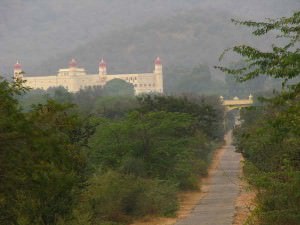 Sariska Palace View