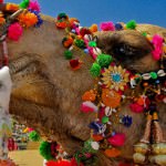 Desert Festival of Jaisalmer