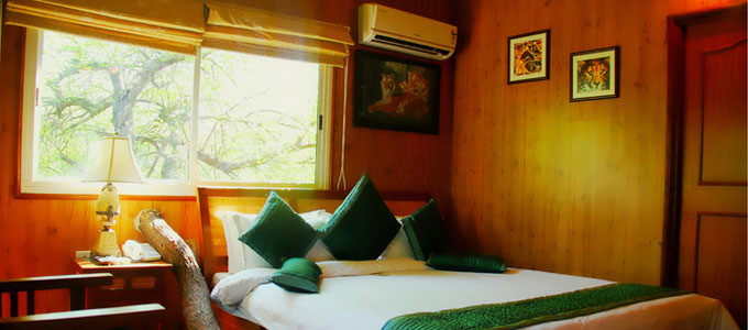 The Tree House Cottage in Jaipur