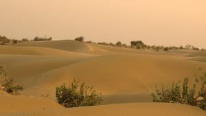 Thar Desert in Rajasthan