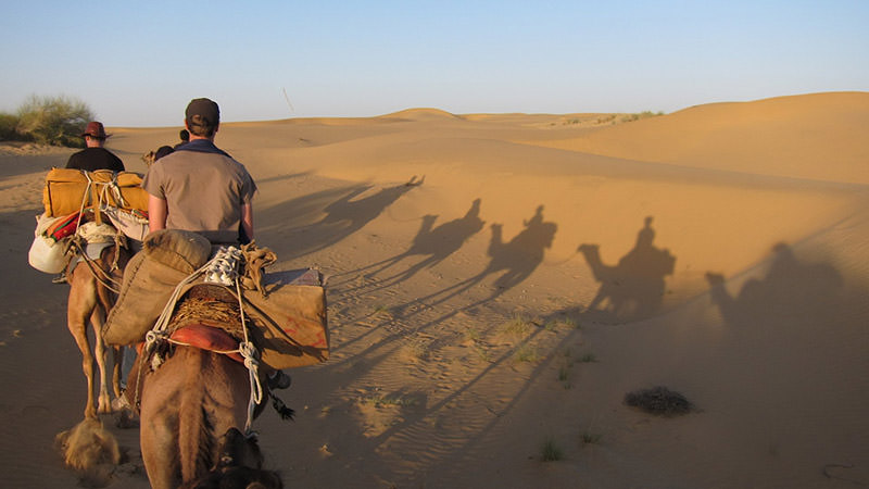 Thar Desert Safari